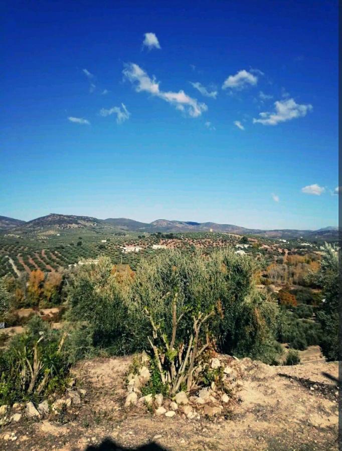 Casa Rural La Atalaya ハエン エクステリア 写真